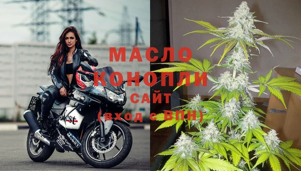 прущие грибы Беломорск