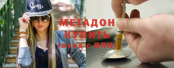прущие грибы Беломорск