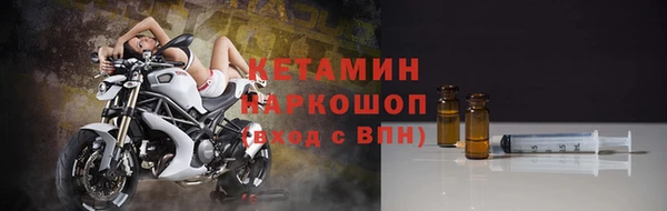 прущие грибы Беломорск