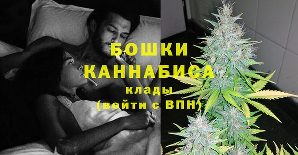 прущие грибы Беломорск