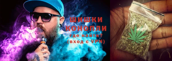 прущие грибы Беломорск