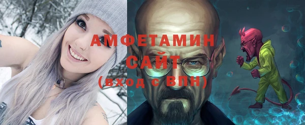 прущие грибы Беломорск